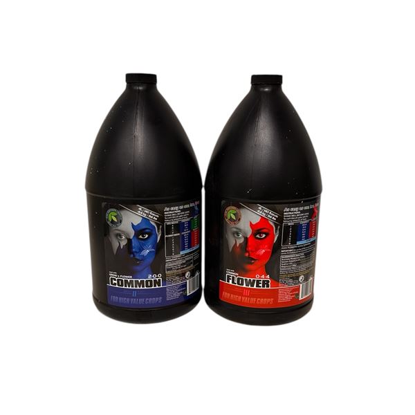 Group of 2 Plant Life Hydropaunic Nutrients Common / Flower (4L x 2 )