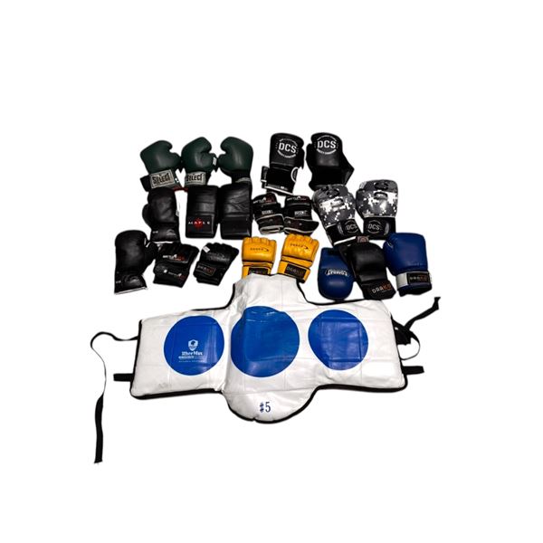 Group of Martial Art Training Gear (Chest Pad - Boxing Gloves - MMA Gloves)