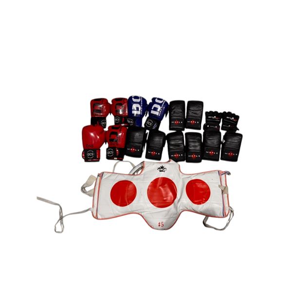 Group of Martial Art Training Gear (Chest Pad - Boxing Gloves - MMA Gloves)
