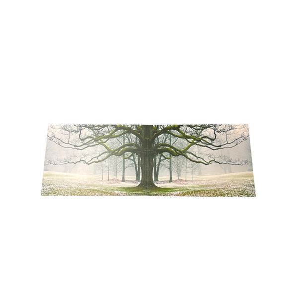 2 Piece Wall Art Print "Forrest" (Aprox 55" x 19.5")