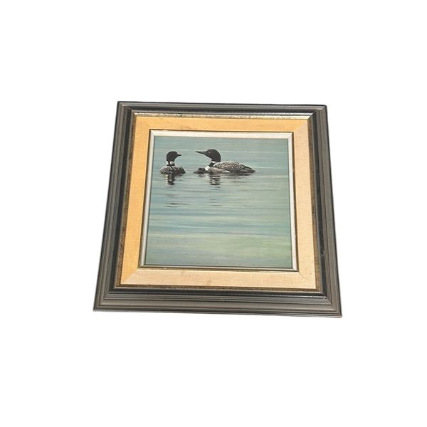 Framed Duck Artwork Aprox 17" x 17" (Robert Bateman Magazine Cut Out)