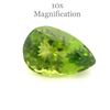 Image 1 : Large 10.17 Ct GIA Certified Natural Peridot