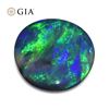 Incredible 1.71 Ct GIA Certified Natural Opal