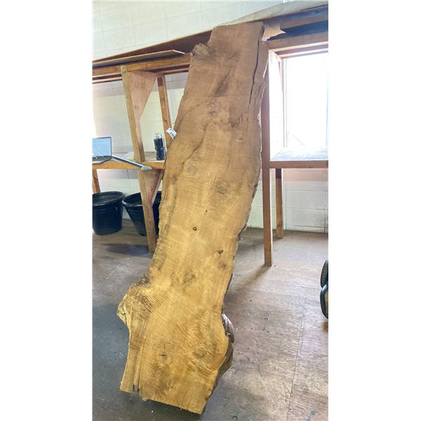 2 PIECES LIVE EDGE PLANKS 8'X22'X3" THICK.
