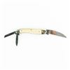 Image 4 : Bulldog Brand Wharncliffe Ivory Whittler Knife