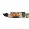 Image 2 : Ka-Bar Grizzly 1989 Collector Knife