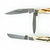 Image 2 : 3 Vintage Buck USA Model 303 Stag Pocket Knives