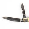 Image 7 : Case XX 53032 Stag Stockman Knife (1985)