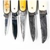 Image 15 : 5 Antique English Made Pocket Knives