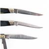 Image 7 : 3 Buck USA  300 Series Pocket Knives (1980s)
