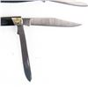 Image 8 : 3 Buck USA  300 Series Pocket Knives (1980s)