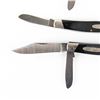 Image 5 : 3 Buck USA  319/301 Pocket Knives (1980s)