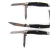 Image 5 : 3 Buck USA  310 Pocket Knives (1980s)