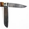 Image 7 : Camillus American Wildlife #10 Folding Knife