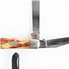Image 3 : 3 Case XX 6207 Knives (2000s)