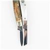 Image 6 : 2 Black Forest/Explorer Solingen Folding Knives