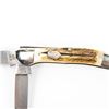 Image 3 : 2 Pit Bull and Bull Dog Branded Folding Knives