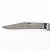 Image 2 : Queen Steel #45 Big Chief Knife