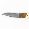 Image 6 : Vintage Schrade Thunderbird Knife