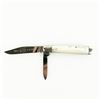 Image 1 : Queen City "North Star Blade Collectors" Folder