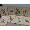 Image 3 : 25 Antique 1925 North American Wildflowers by Mary Vaux 