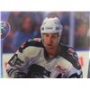 Image 2 : Scott Arniel Autographed Houston Aeros IHL