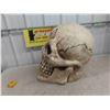 Image 4 : Large Skull Battery Light Up / Noise