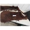 Image 2 : Leather Bat Wing Mens Chaps 