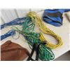 Image 3 : Feed Bags , Leads