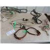 Image 4 : Rope Halter, Leads, 2 Leather Dog Collars & 