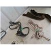 Image 5 : Rope Halter, Leads, 2 Leather Dog Collars & 