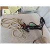 Image 2 : Eared Snaffle Bridle with Rope, Rails Cinch,