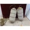 Image 2 : 2 Hanging Lamps