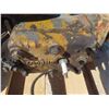 Image 2 : CAT Pup Engine - D2 or D4?