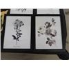Image 2 : 4 Framed Black/White Flower Pictures 12'' x 15'' ,