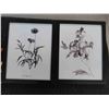 Image 3 : 4 Framed Black/White Flower Pictures 12'' x 15'' ,