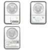 Image 2 : [3] 2001-2012 American Silver Eagles $1 NGC MS69