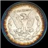Image 2 : 1896 Morgan Silver Dollar UNCIRCULATED