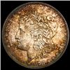 1878 Morgan Silver Dollar CHOICE AU