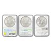 Image 2 : 2014/2016/2018 Eagle $1 NGC MS69 [3 Coins]