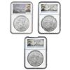 Image 1 : 2010-2013 GEM BU American SIlver Eagle Lot [3 Coins] NGC MS70