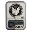 Image 2 : 2020-W American Silver Eagle NGC PF70 UC