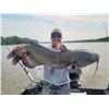 Image 2 : MONSTER CHANNEL CAT FISHING FOR 3 ANGLERS ON THE RED RIVER