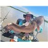 Image 3 : MONSTER CHANNEL CAT FISHING FOR 3 ANGLERS ON THE RED RIVER