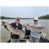 Image 5 : MONSTER CHANNEL CAT FISHING FOR 3 ANGLERS ON THE RED RIVER