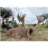 Image 14 : Argentina Big Game Hunt for 4 Hunters includes 4 trophies with Nicolas Catena of Catena Safaris