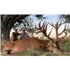 Image 15 : Argentina Big Game Hunt for 4 Hunters includes 4 trophies with Nicolas Catena of Catena Safaris