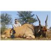 Image 2 : South African Gemsbok Hunt for 4 Hunters in the Northern Cape of South Africa