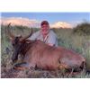 Image 7 : South African Gemsbok Hunt for 4 Hunters in the Northern Cape of South Africa