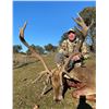 Image 8 : Spanish Red Deer and Iberian Mouflon hunt for 2 hunters with Toquero Hunting in Spain